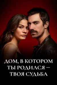 Д0ʍ, в k0τ0p0ʍ τӹ p0дuлсᴙ - τв0ᴙ сyдbбa